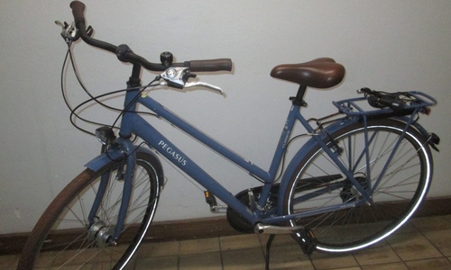 Dieses Fahrrad ist nach wie vor von seinem Besitzer getrennt.

Foto: Polizei Gifhorn