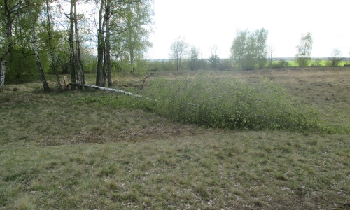 Foto: Polizei Langelsheim