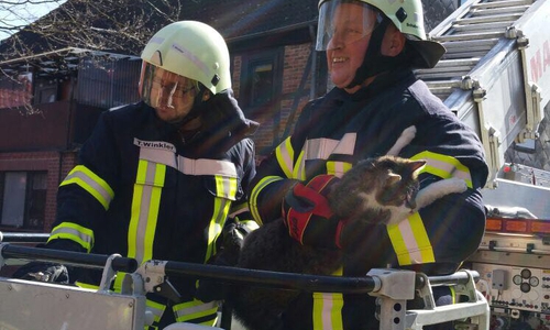 Foto: Maik Wermuth/ Feuerwehr Grasleben