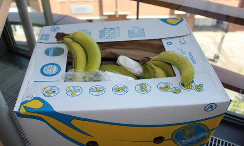 Die Spinne hatte es sich zwischen den Bananen gemütlich gemacht. Symbolbild.