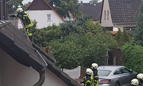 Einsatzkräfte erkunden das Haus, in dem der Rauchmelder ausgelöst hatte. Foto: Feuerwehr Fallersleben