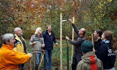 Im Herbst stehen Obstbäume ganz im Mittelpunkt. Foto: NABU/Marlies Gräwe