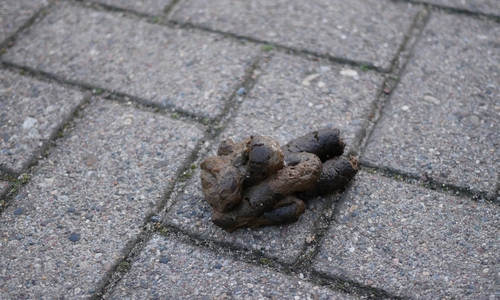 Symbolfoto