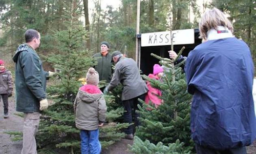 Ein Naturerlebnis für die ganze Familie:Weihnachtsbäume aussuchen und dann selbst schlagen. Foto: Niedersächsische Landesforsten