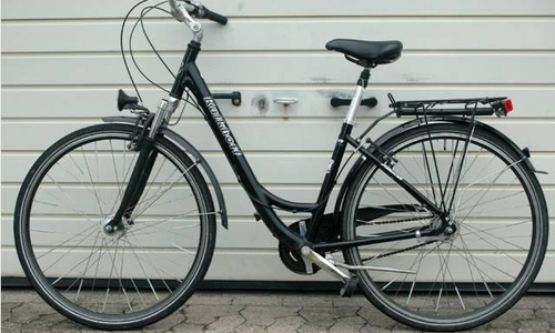 Das gefundene Damenfahrrad. Fotos: Polizei