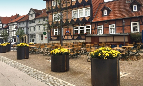 So sieht die neue Blumenpracht am Bayerischen Hof aus. Foto: Stadt Wolfenbüttel
