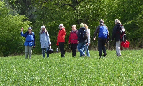 Zur Freude der Wanderer zeigte sich auch mal die Sonne. Foto: Bündnis 90/Die Grünen OV Cremlingen