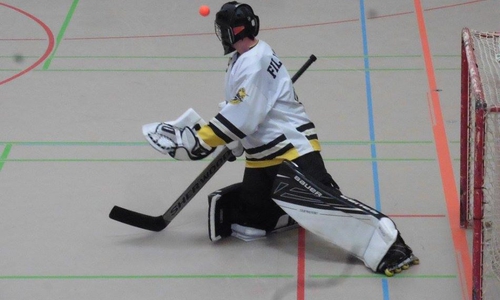Beide Wolfs-Liner-Goalies zeigten eine starke Leistung. Foto: Verein