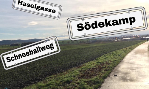 Bei den neuen Straßennamen hat sich die Verwaltung von den Vorschlägen Wolfenbütteler Bürger inspirieren lassen. Fotos: Nick Wenkel