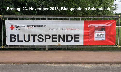 Foto: Feuerwehr Schandelah