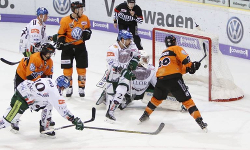 Die Grizzlys stehen unter erheblichem Druck. Foto: imago/foto2press
