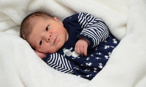 Lotta Lehmensieck. Foto: babysmile24.de