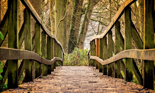 Sie haben Spaß an der Arbeit in der Natur? Vielleicht wäre ein FÖJ etwas für Sie. Symbolbild: pixabay