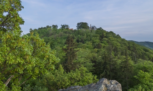 Der Kleine Burgberg. Foto: Kur- Tourismus- und Wirtschaftsbetriebe der Stadt Bad Harzburg GmbH