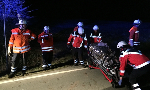 Bei der Übung wurde die Rettung von lebensgefährlich verletzten Menschen geübt. Fotos und Video: Feuerwehr Bansleben