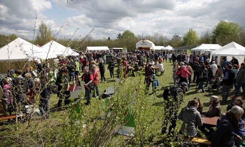Beim Storchenfest 2016 waren viele beim NABU zu Besuch. Foto: Waldemar Niessen