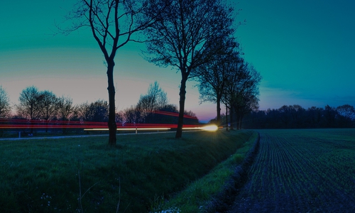 Der Autofahrer kam von der Straße ab und prallte gegen einen Baum (Symbolbild).
