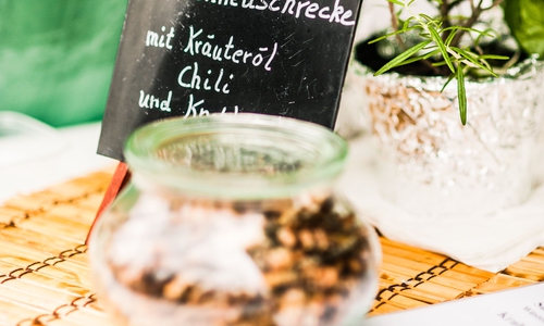 Heuschrecke in Kräuteröl. Foto: Credit Kirsten Pukall, Nutzungsrecht Udo Klassen