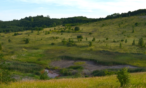 Die NABU Wolfenbüttel lädt zu einer Wanderung zum ehemaligen Eisenerz-Tagebau. Foto: NABU