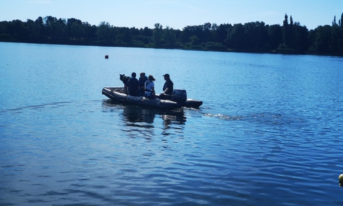 Mit Hilfe von Leichenspürhunden wird der See abgesucht. Fotos und Video: aktuell24(DC)