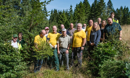 Post-Mitarbeiter im Arbeitseinsatz. Fotos: Nationalpark Harz