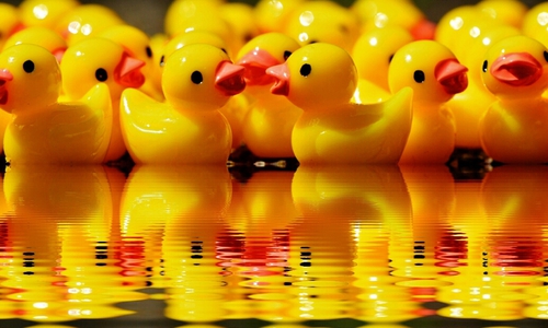 Zahlreiche Enten sollen sich auf dem Lutterbach ein spannendes rennen liefern. Foto: Pixabay