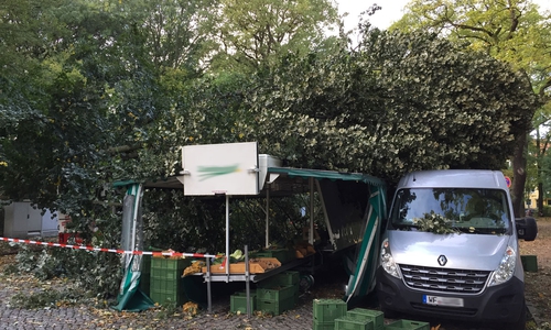 Der Stand wurde von einem Baum voll erwischt. Foto: Frank Vollmer