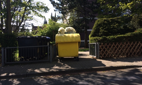 Gelbe Tonne in der Straße Zur Schanze 1. Foto: Privat