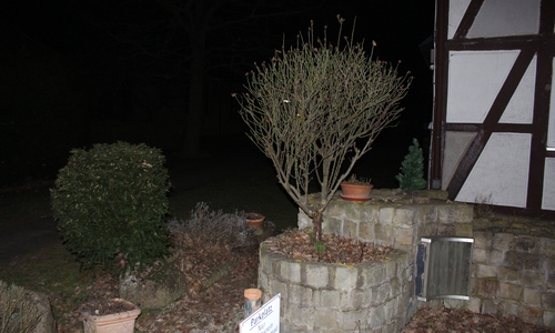 Wird der Zierbrunnen zur Stolperfalle? Der Blitz der Kamera täuscht über die wahren Lichtverhältnisse vor Ort bei Dunkelheit hinweg. Foto: Alexander Dontscheff