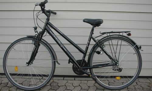 Eines der drei gefundenen Fahrräder, bei denen es sich wahrscheinlich um Diebesgut handelt. Foto: Polizei