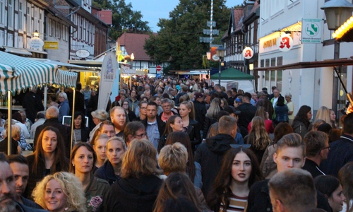 Archivbild vom Altstadtfest 2018.