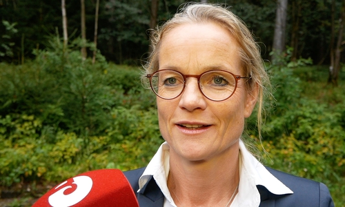 Viola von Cramon kandidiert für Europa. Foto: regionalHeute.de