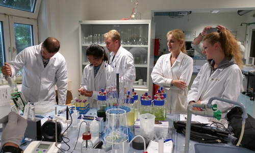 An der Ostfalia findet noch bis zum 12. August die International Summer University“ statt. Foto: Ostfalia 
