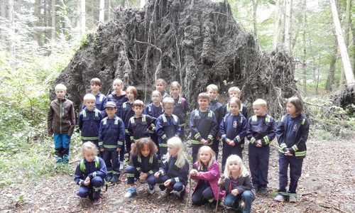 Auch Naturereignisse standen auf dem Programm der Löschlöwen. Fotos: Feuerwehr Wolfenbüttel