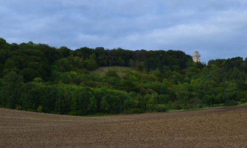 NABU lädt zur Wanderung in die Asse ein. Foto: C. Schilling