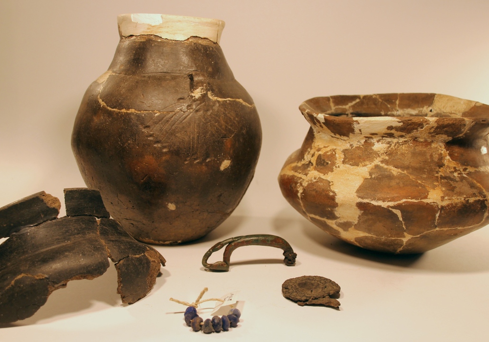 Verzierte Urne und zugehöriger Leichenbrand aus einem Gräberfeld bei Rolfsbüttel. Foto: Ingo Eichfeld