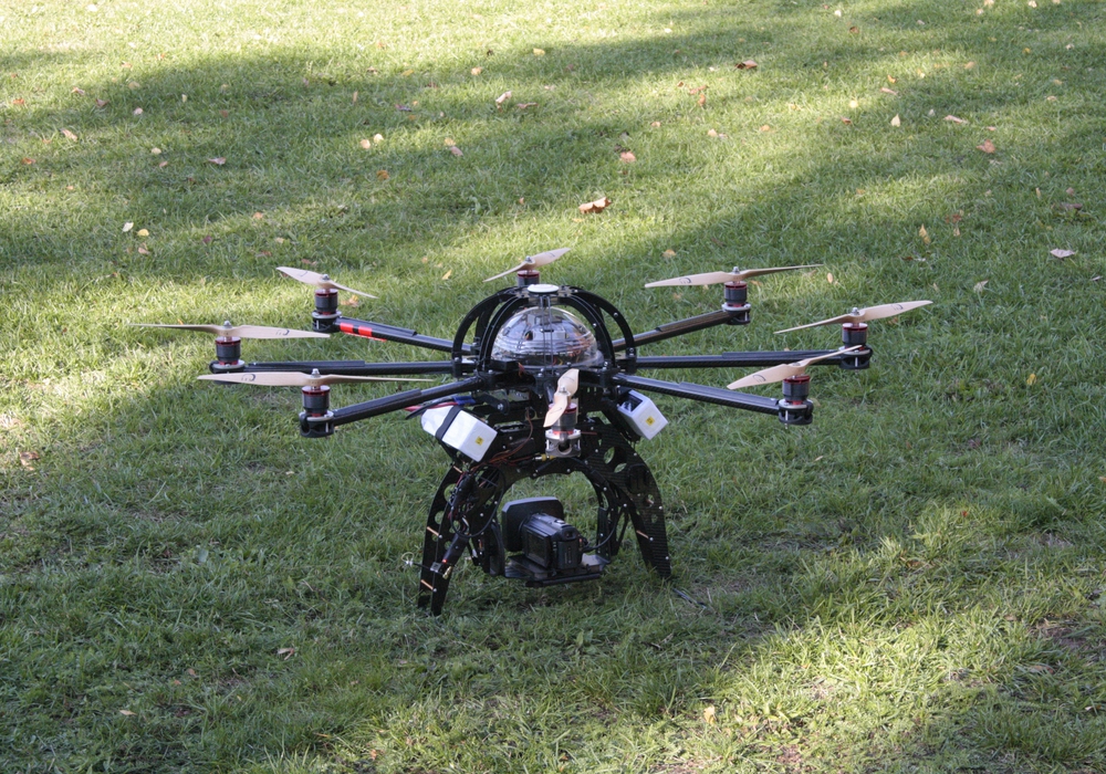 Die Stadt will mit Drohnen die Graugänse verjagen. Symbolfoto: Werner Heise