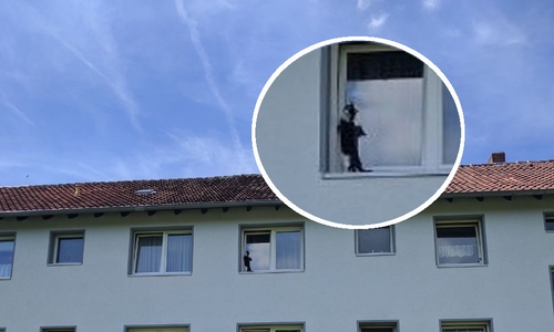 Foto: Feuerwehr Helmstedt