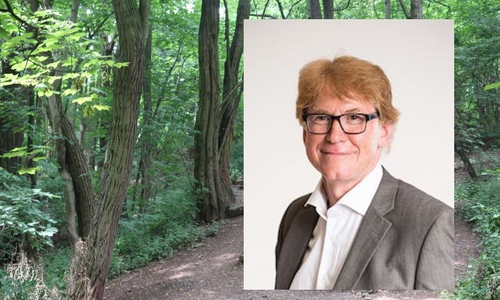 Dr. Rainer Mühlnickel, Vorsitzender des Grünflächenausschusses. Foto: Bündnis 90/Die Grünen Symbolfoto Wald: Robert Braumann