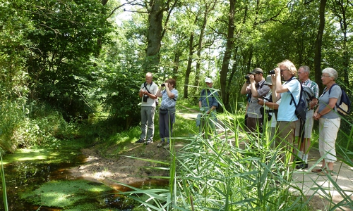 Es gibt neue Naturerlebnis-Angebote der Ökologischen NABU-Station Aller/Oker. Foto: Nicole Feige