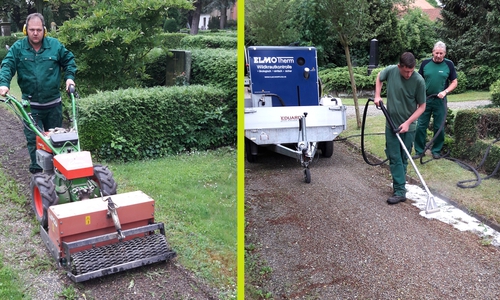Voller Einsatz zur Bekämpfung des Unkrauts. Foto: Stadt Wolfenbüttel