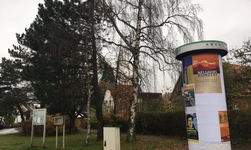 Das Laub des Baumes an der Litfaßsäule am Okerring verstopfe nach Angaben eines Anliegers die Abwässerkanäle. Zudem sei er beschädigt. Foto: Nick Wenkel