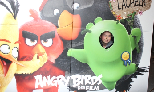 Seit Kurzem läuft der Animationsfilm "Angry Birds" im CineStar Wolfenbüttel. Foto: Anke Donner