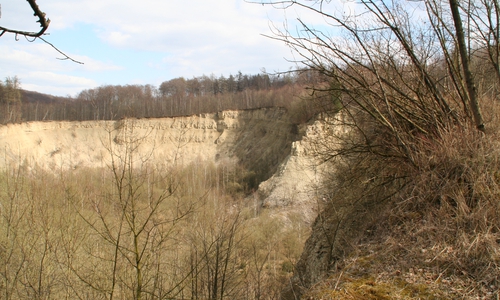 Blick in den Steinbruch bei Destedt. Foto: Diethelm Krause-Hotopp
