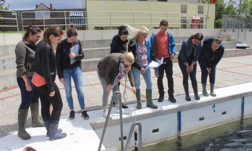 Studenten der Ostfalia untersuchten am Mittwoch die Waserqualität am Fümmelsee. Fotos: Anke Donner 