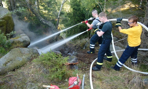 Löscharbeiten auf dem Felsen "Ziegenrücken" im Okertal. Hier hatte sich das Feuer teils unterirdisch weiter gefressen. Foto: Feuerwehr Oker