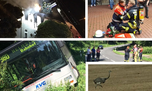 regionalHeute.de blickt auf das Jahr 2017 zurück. Heute: Der dritte Teil des Jahresrückblicks. Foto-Collage: Alexander Panknin/Archiv