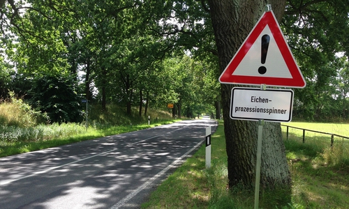 Wolfenbüttel ist bislang verschont geblieben. Symbolfoto: Pixabay