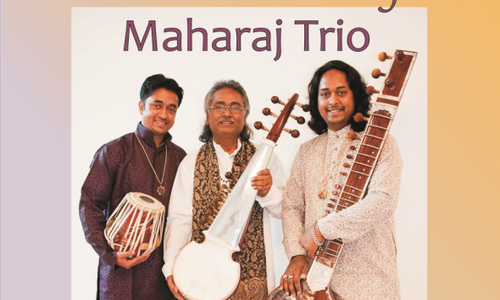 Ein international anerkanntes Instrumentaltrio konzertiert dieses Jahr zum traditionellen Indischen Musikfest im Prinzenpalais. Foto: Kulturinitiative TonArt e.V.