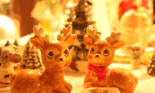 Rein biologisch betrachtet ist Rudolph eigentlich eine Rudolphine.